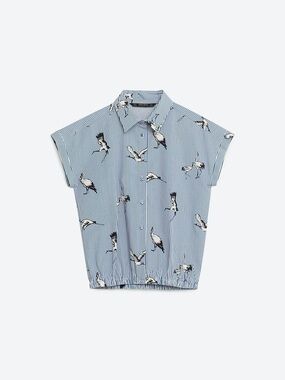 Zara Striped Blue Bird Print Button-Up Top
